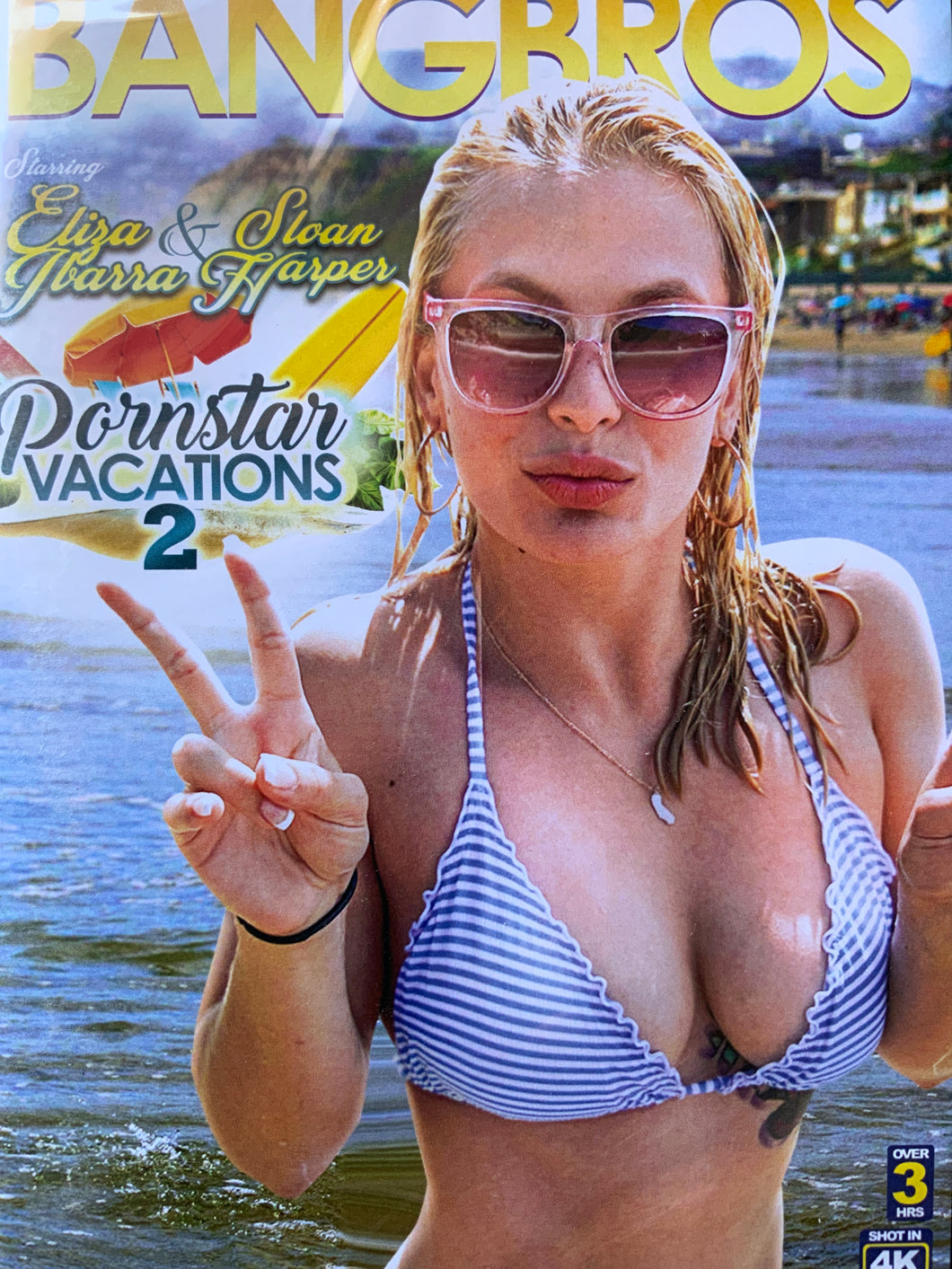 Bang Bros. Pornstar Vacations 2