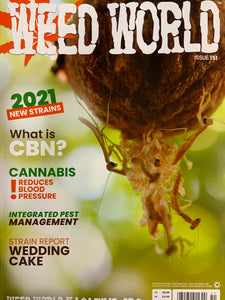 Weed World Issue 151